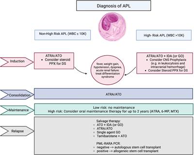 The treatment of acute promyelocytic leukemia in 2023: Paradigm, advances, and future directions